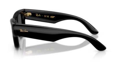 Ray-Ban 4940 Wayfarer Puffer